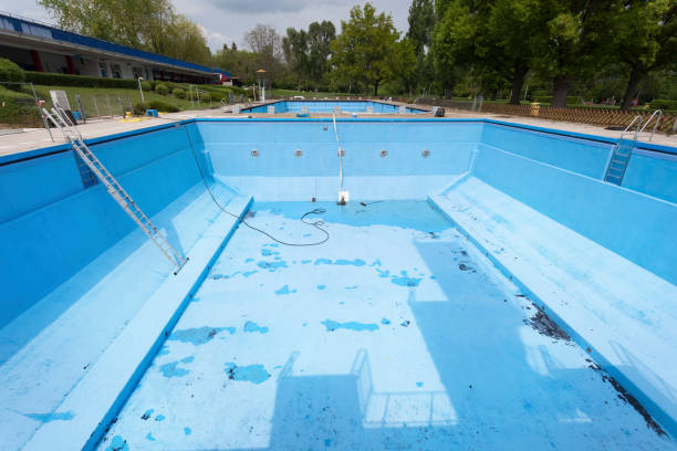Best Carpet water damage restoration  in Greenville, OH