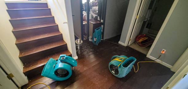 Best Local water damage restoration  in Greenville, OH