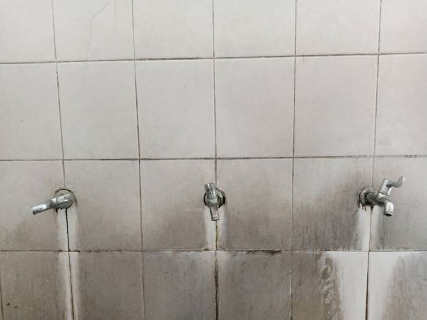 Best Flood damage cleanup  in Greenville, OH